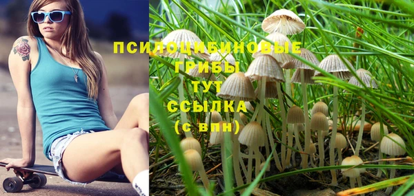 хмурый Бронницы