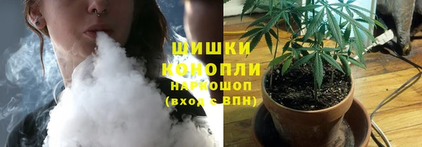 хмурый Бронницы