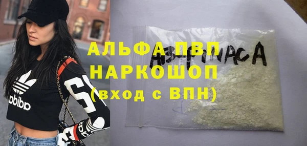 ПСИЛОЦИБИНОВЫЕ ГРИБЫ Бородино