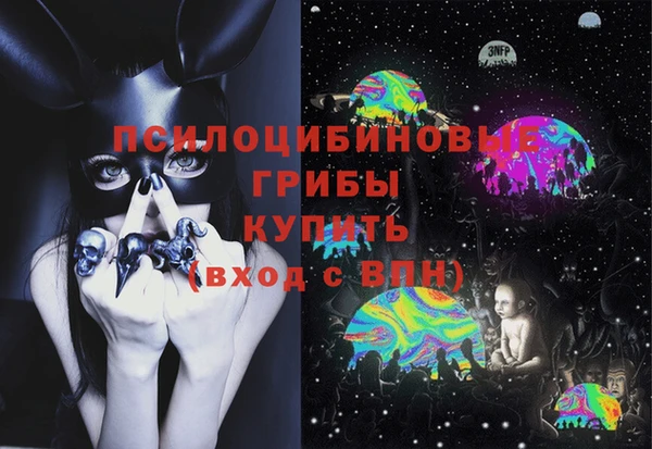 хмурый Бронницы