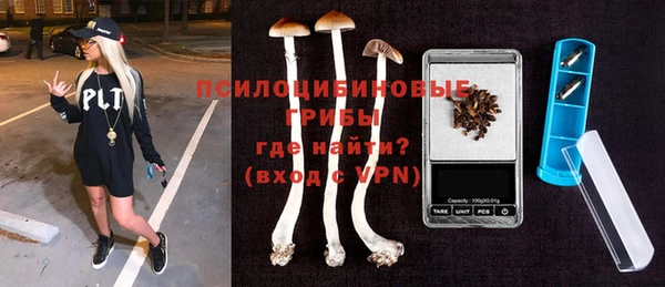 ПСИЛОЦИБИНОВЫЕ ГРИБЫ Бородино