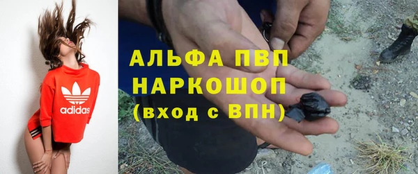 ПСИЛОЦИБИНОВЫЕ ГРИБЫ Бородино