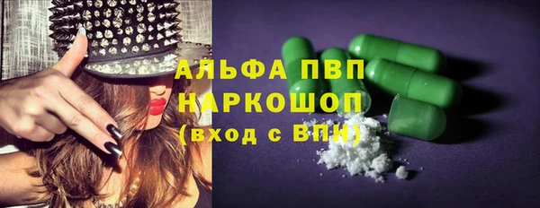 ПСИЛОЦИБИНОВЫЕ ГРИБЫ Бородино